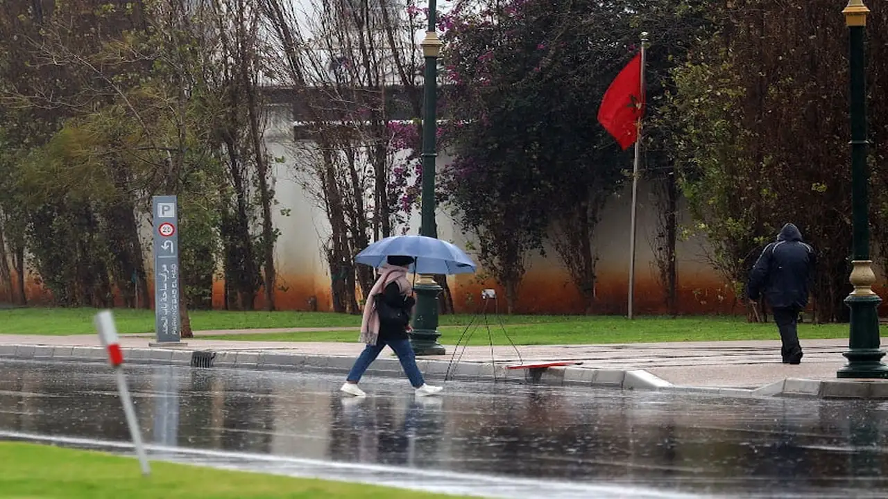 توقعات المديرية العامة للأرصاد الجوية حول احتمالات سقوط أمطار وتقلبات جوية مرتقبة